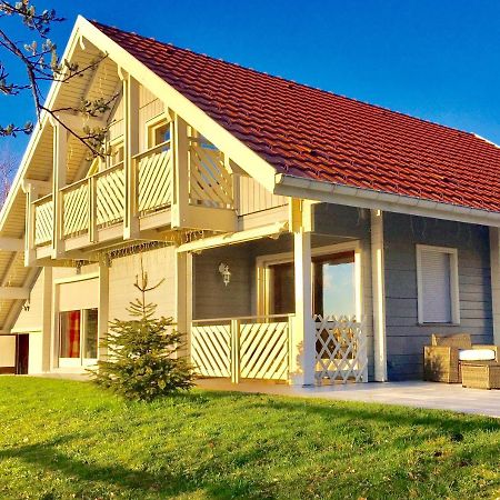 Chalet Le Flocon Bleu - Mauselaine Avec Vue Sur Le Lac De Gérardmer Екстериор снимка