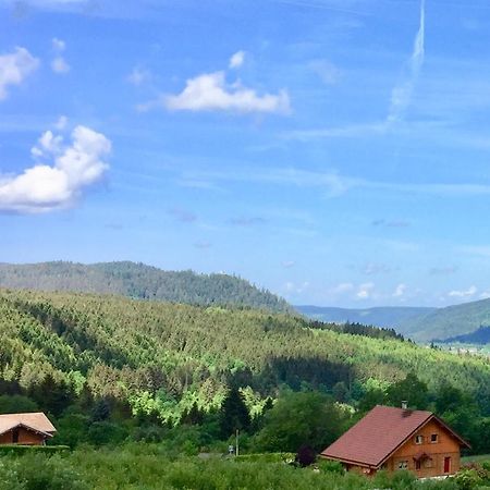 Chalet Le Flocon Bleu - Mauselaine Avec Vue Sur Le Lac De Gérardmer Екстериор снимка