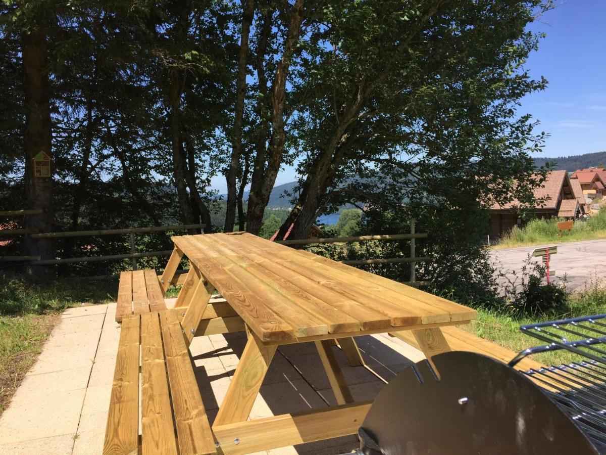 Chalet Le Flocon Bleu - Mauselaine Avec Vue Sur Le Lac De Gérardmer Екстериор снимка