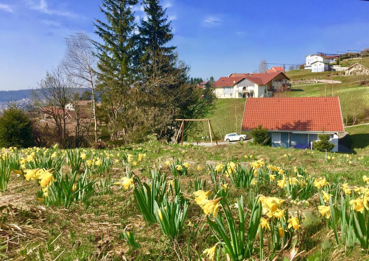 Chalet Le Flocon Bleu - Mauselaine Avec Vue Sur Le Lac De Gérardmer Екстериор снимка