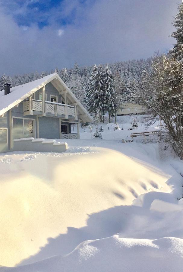 Chalet Le Flocon Bleu - Mauselaine Avec Vue Sur Le Lac De Gérardmer Екстериор снимка