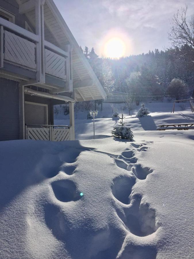 Chalet Le Flocon Bleu - Mauselaine Avec Vue Sur Le Lac De Gérardmer Екстериор снимка