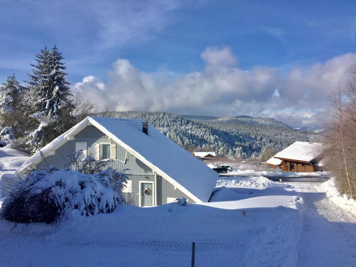 Chalet Le Flocon Bleu - Mauselaine Avec Vue Sur Le Lac De Gérardmer Екстериор снимка