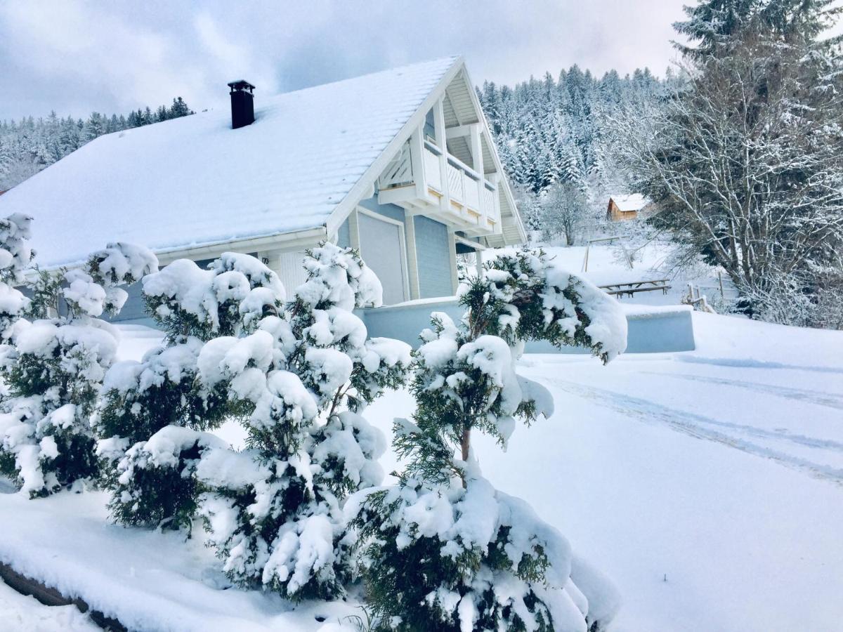 Chalet Le Flocon Bleu - Mauselaine Avec Vue Sur Le Lac De Gérardmer Екстериор снимка