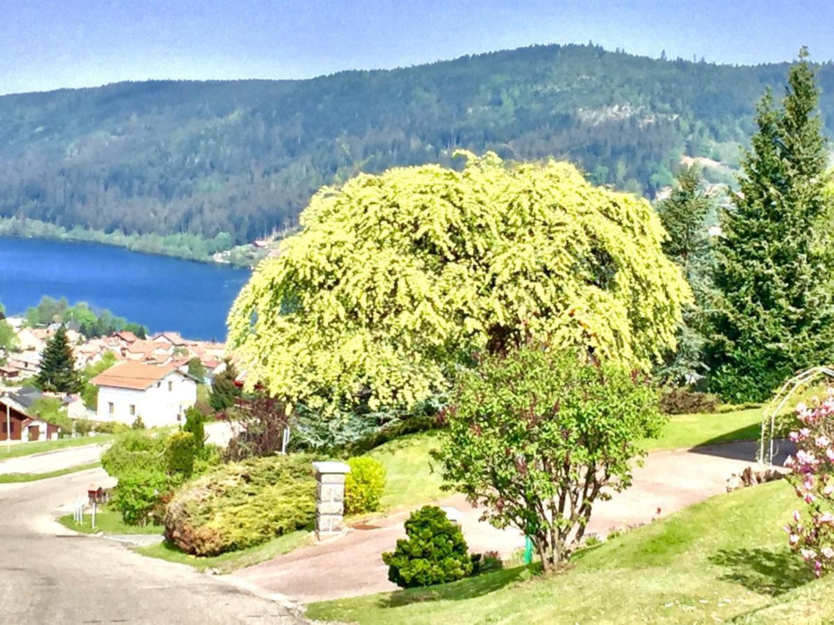 Chalet Le Flocon Bleu - Mauselaine Avec Vue Sur Le Lac De Gérardmer Екстериор снимка