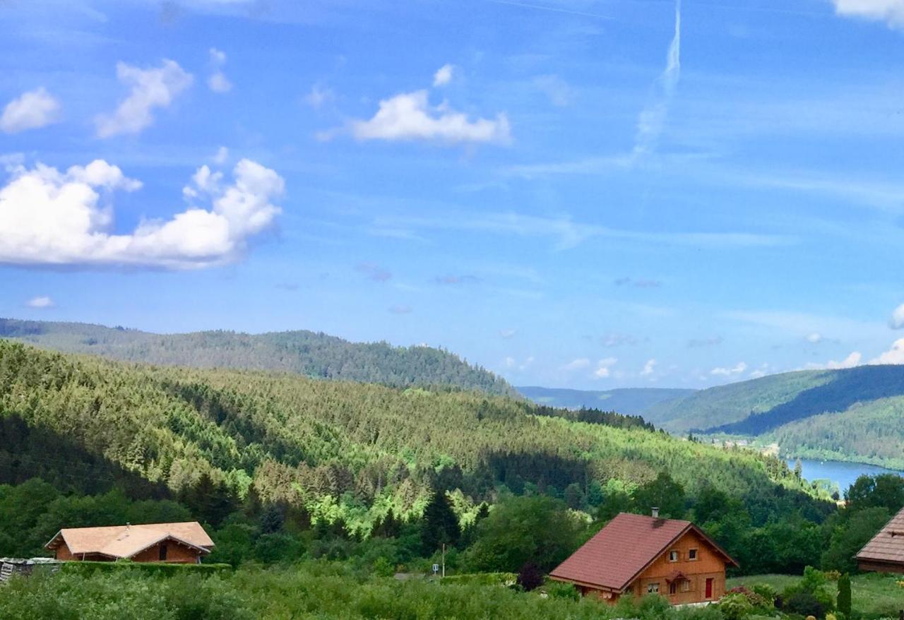 Chalet Le Flocon Bleu - Mauselaine Avec Vue Sur Le Lac De Gérardmer Екстериор снимка