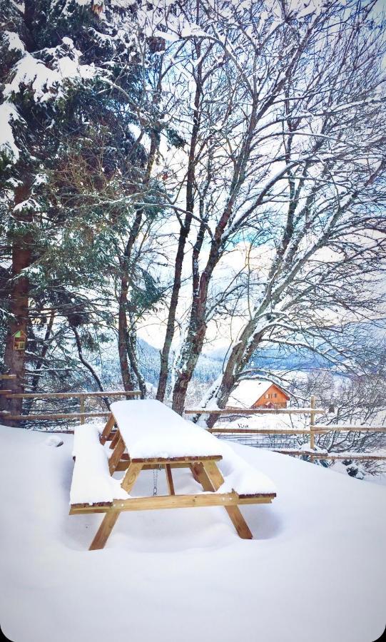 Chalet Le Flocon Bleu - Mauselaine Avec Vue Sur Le Lac De Gérardmer Екстериор снимка