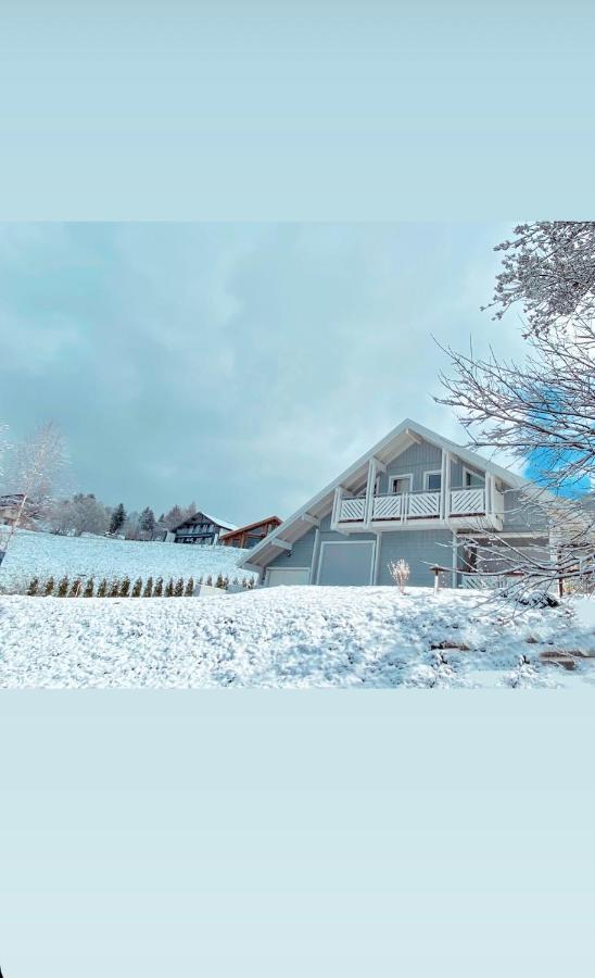Chalet Le Flocon Bleu - Mauselaine Avec Vue Sur Le Lac De Gérardmer Екстериор снимка